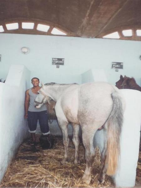 cheval blanc