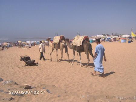 vive mon payés et le sahara marocaine